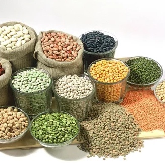 Dals and Pulses