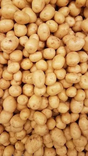 Baby Potato