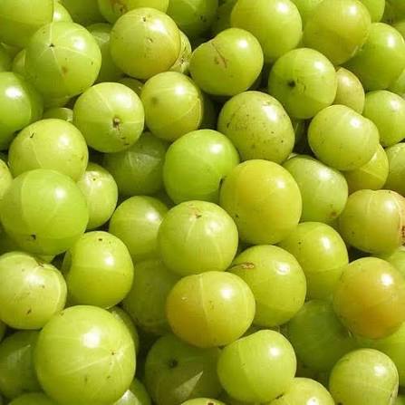 Amla Fresh