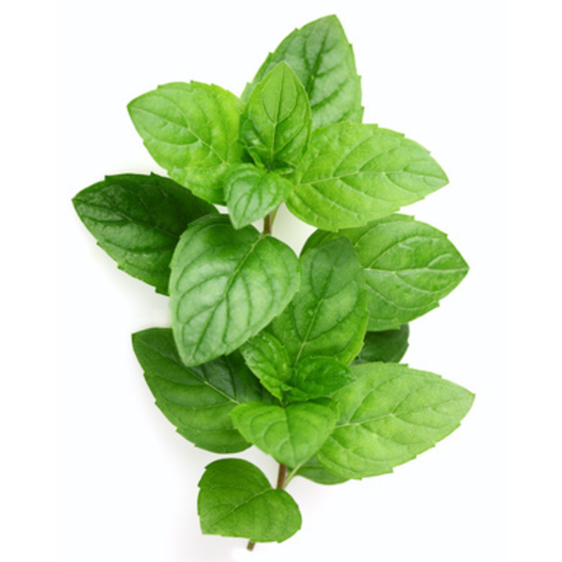 Global Choice Mint Leaves 25g