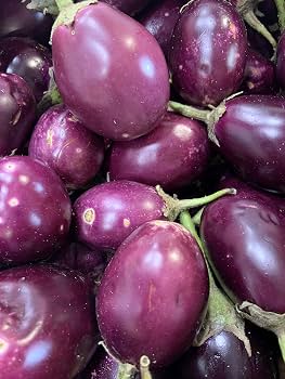Eggplant Small