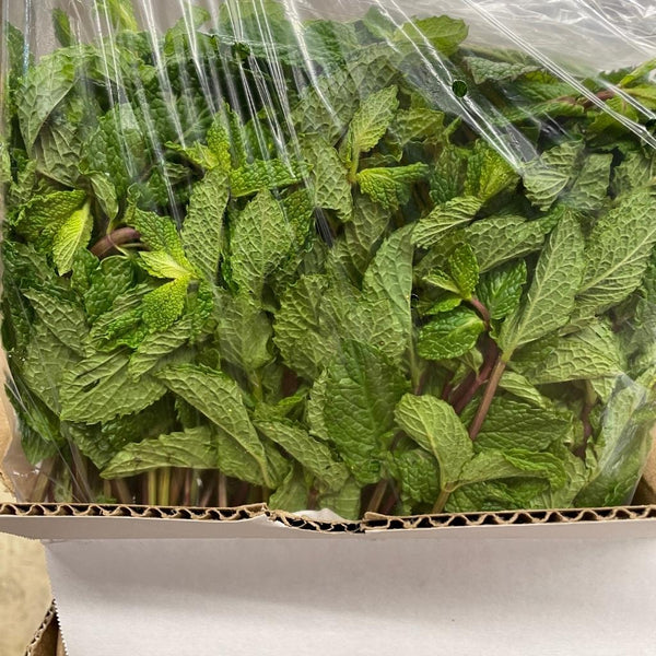 Mint