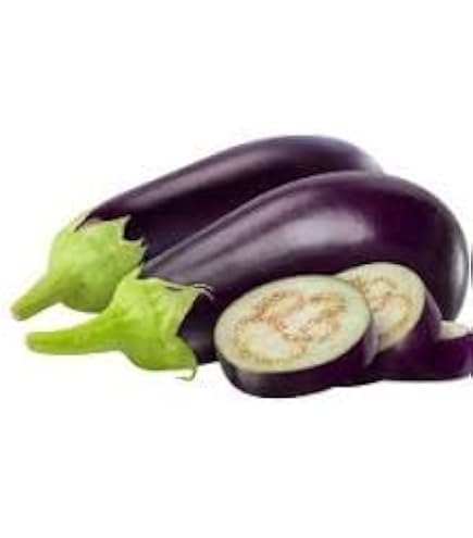 Eggplant Big