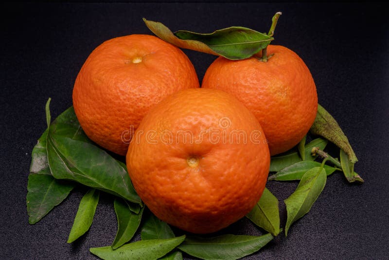Orri Tangerine