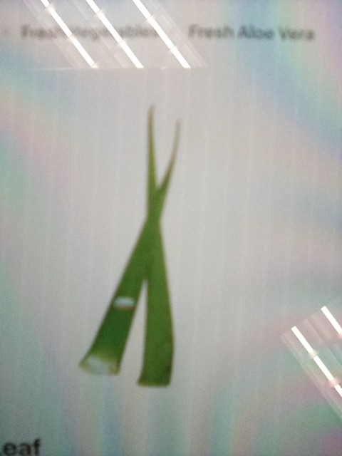 Aloe Vera