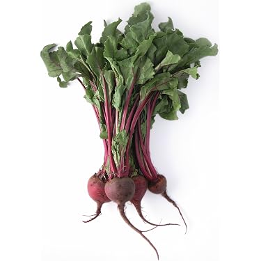 Purple Beets