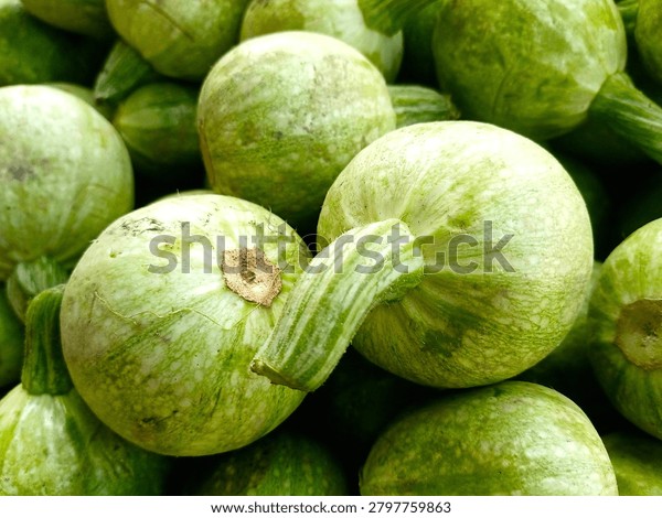 Round Squash