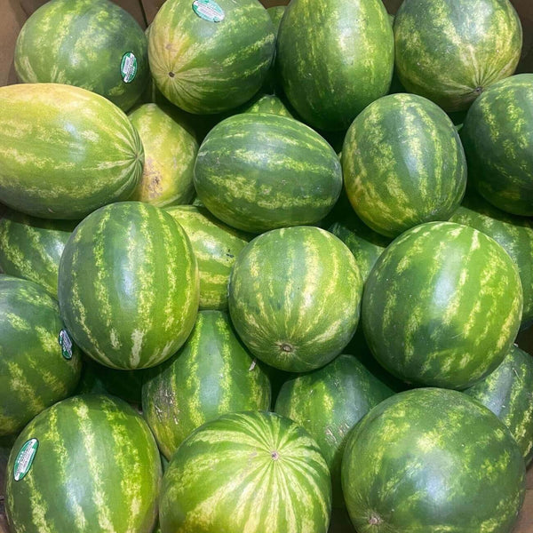 Watermelon