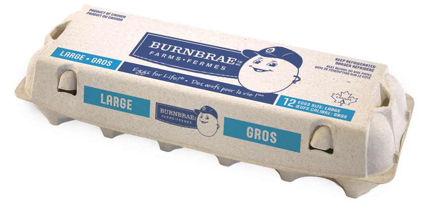 Burnbrae White Eggs 12pcs