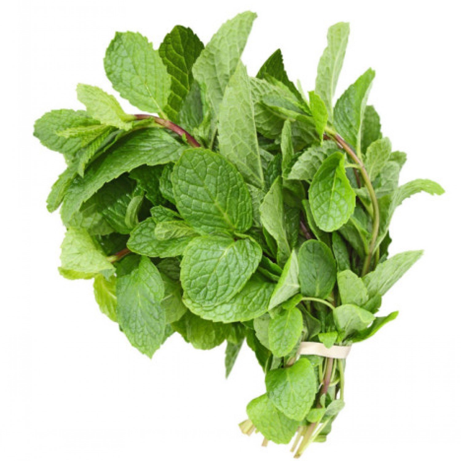 Mint (per bunch)