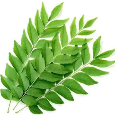 Curry Leaves (per bunch)