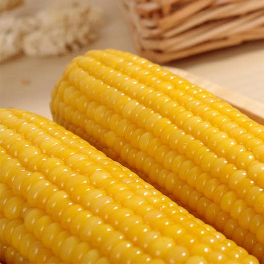 Yellow Corn - Produce