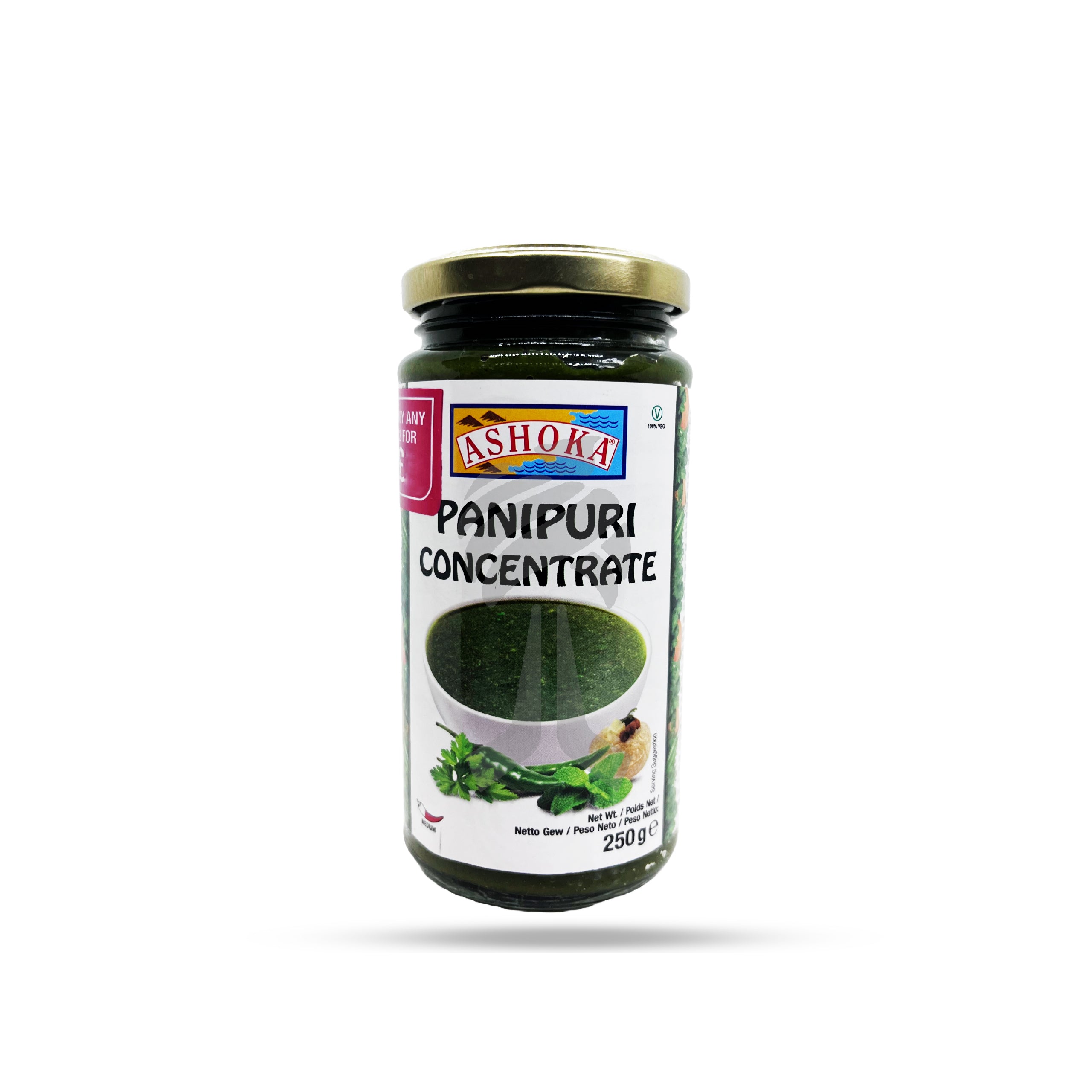 Ashoka Pani Puri Chutney 250g
